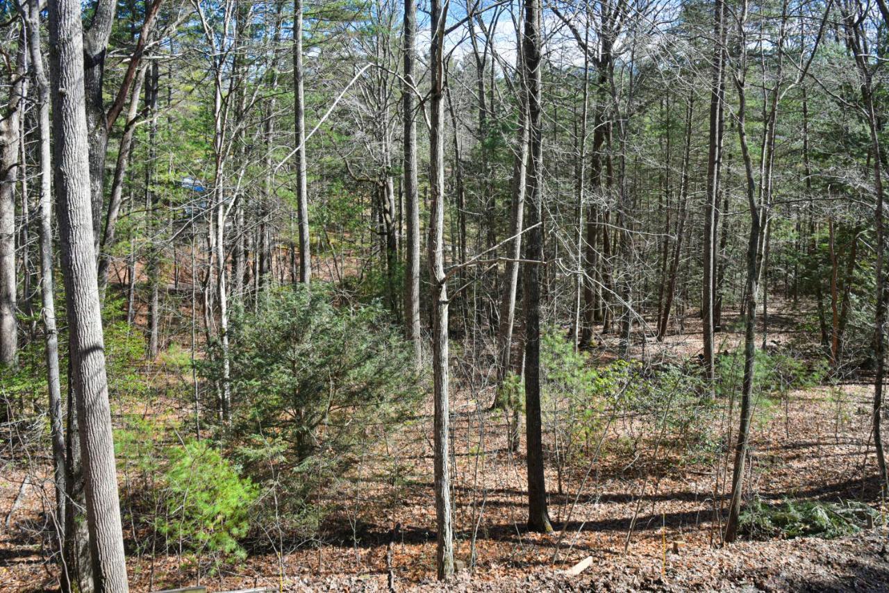 The Camby Cabin Just 12 Miles To Downtown Asheville Exterior foto
